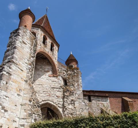 Auvillar église