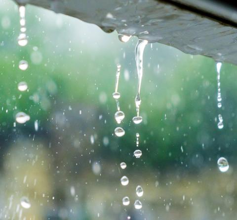 De l'eau de pluie