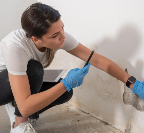 Un vice caché n'est pas forcément connu du vendeur au moment de la vente. © aquaArts studio - Getty images