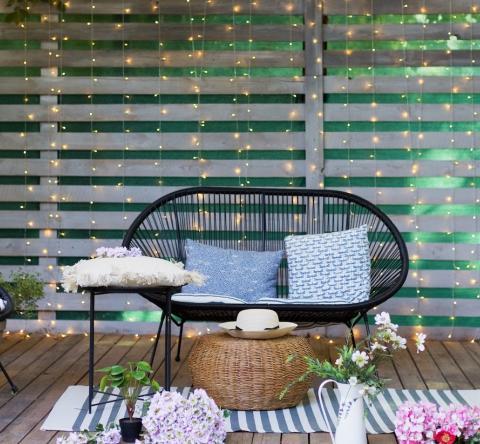 jardin sans pelouse