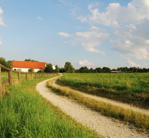 Chemin rural