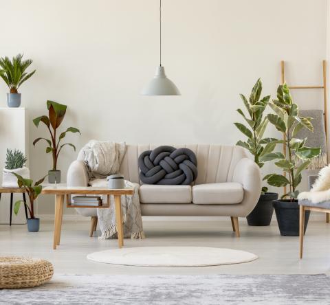 Astuces déco salon moins de 100euros