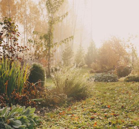 Erreurs à éviter - Jardin hiver