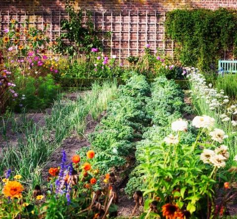 Astuces naturelles pour un jardin en pleine santé