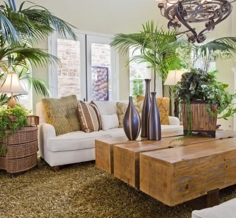 Des plantes XXL pour un intérieur waouh