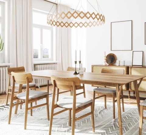 salon de style scandinave