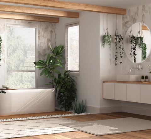 Des plantes pour la salle de bain