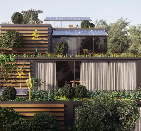 Les étapes pour créer un toit végétalisé