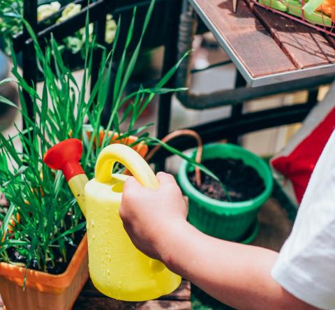 Faire participer les enfants dans l'aménagement d'un jardin