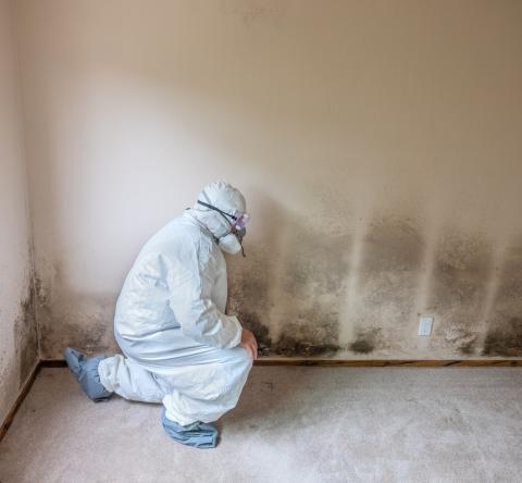 Taux d'humidité maison moisissures