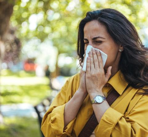 Allergies : comment protéger votre intérieur du pollen ?