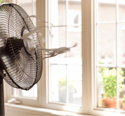 Film solaire sur vos fenêtres : gadget ou bonne idée ?