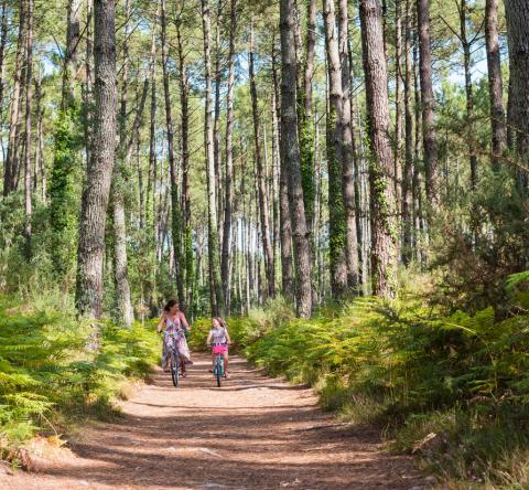 Landes