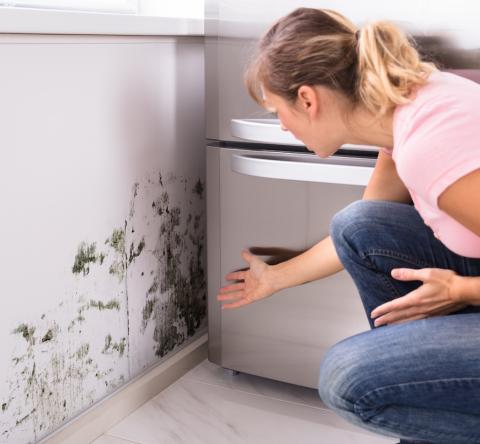 Une femme blonde découvre choquée des traces de moisissure sur l'un des murs de sa cuisine