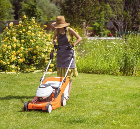Le moment propice pour une dernière tonte
