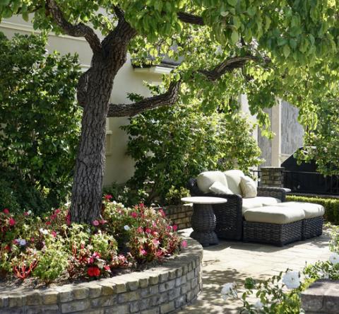 jardin
