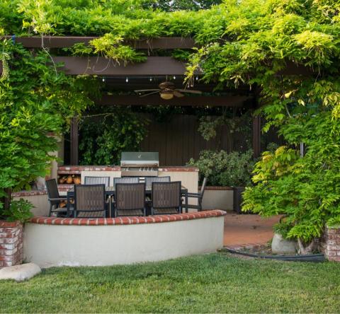 Les plantes grimpantes ont le don de transformer n’importe quel mur, clôture ou pergola en un véritable écrin de verdure. © Spiderplay - Getty images