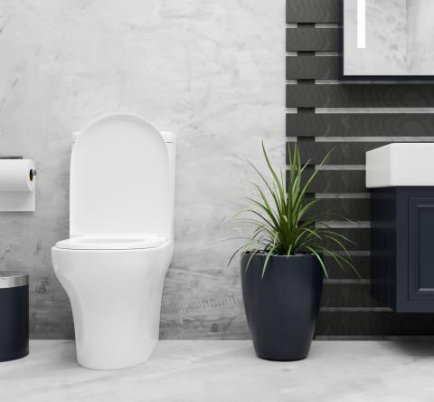 Tips pour neutraliser les mauvaises odeurs d'un WC