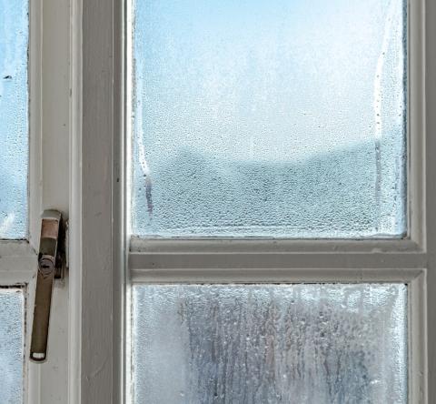 Le takesumi, une méthode japonaise efficace contre l'humidité