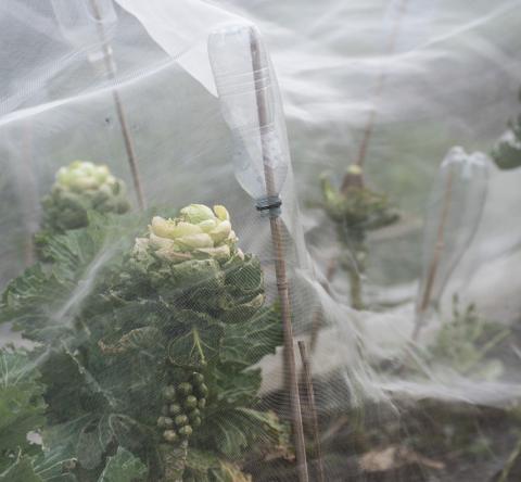 Bien poser son voile d'hivernage