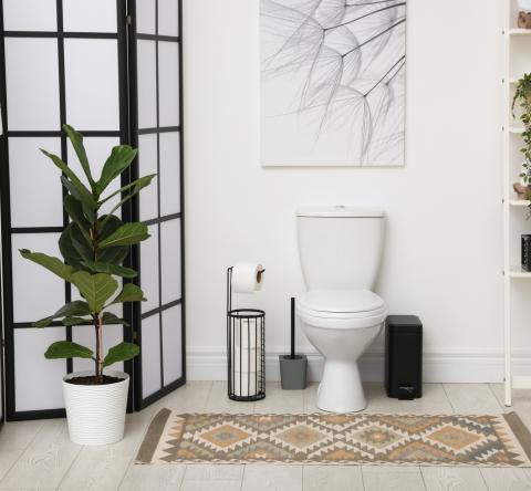 Des WC à la pointe des tendances