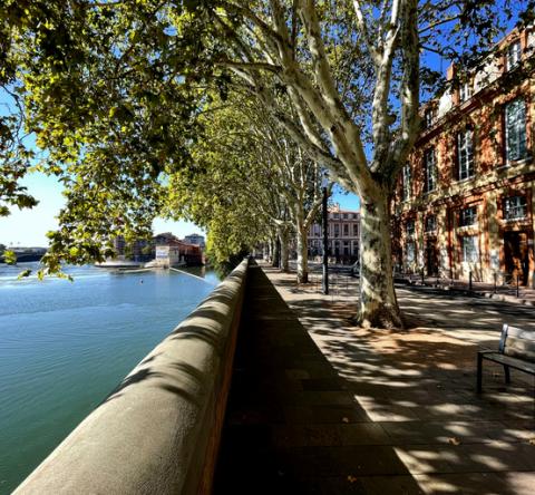 Ville de Toulouse et vue sur la Garonne. 