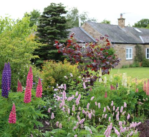 Maison de campagne sur un jardin fleuri. 