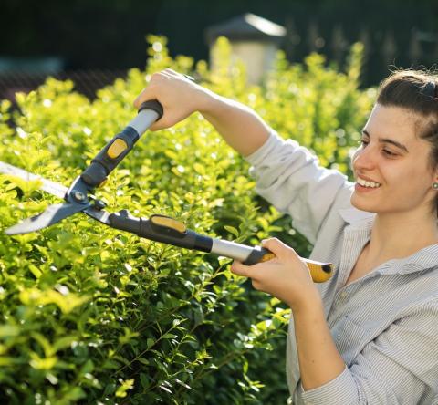 Une jeune femme souriante taille la haie de sa propriété à l'aide d'un taille-haie