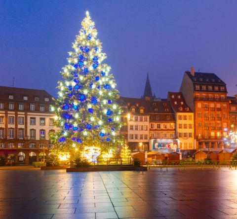 Le top 8 des plus beaux sapins de Noël dans le monde