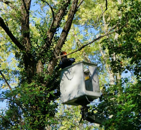 Tourcoing quartier Blanc Seau