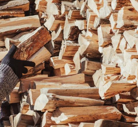Quels sont les avantages des bûches densifiées ?