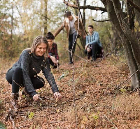Ramasser du bois en forêt, est-ce vraiment autorisé ?