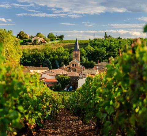 , Le Beaujolais a plus en plus la cote auprès de citadins désireux de partir s'installer en zone rurale.© Getty Images