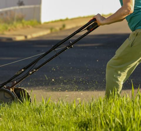 À quel moment tondre la pelouse pour la première fois après l'hiver ?