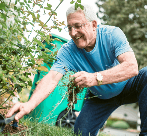 Il existe plusieurs astuces pour désherber efficacement son jardin. © RyanJLane - Getty images