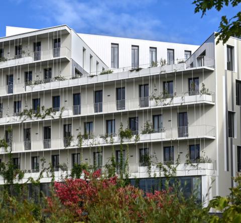 Villeneuve d'Ascq quartier Résidence