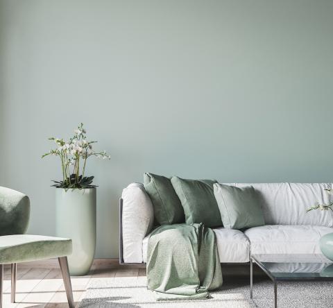 La palette des couleurs incontournables en 2026