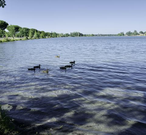 Tournefeuille Haute Garonne meilleurs quartiers