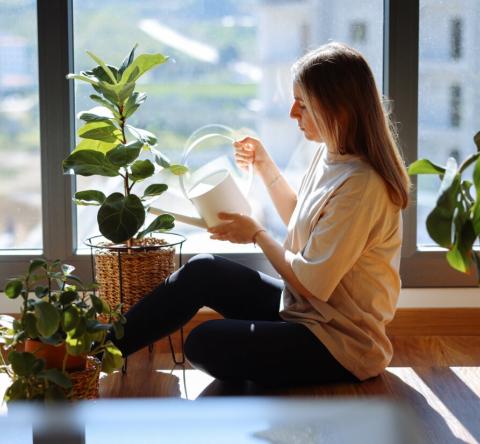 7 plantes d'intérieur méconnues que vous ne verrez pas chez vos voisins.