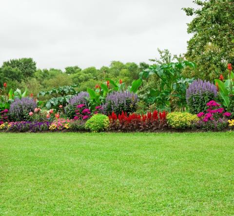 Tout savoir sur la location de jardins entre particuliers et professionnels