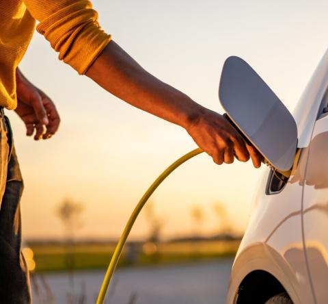 Carport photovoltaïque : comment recharger sa voiture avec l'énergie de votre jardin ?