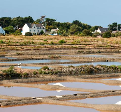 vivre-a-guerande-seloger