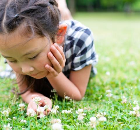 Une fillette allongée dans l'herbe observe des fleurs de trèfle blanc