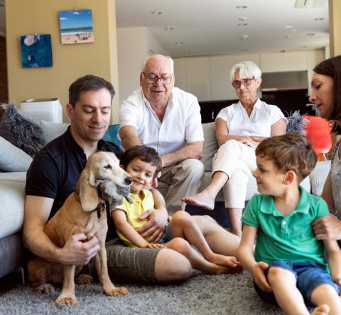 Spécificités d'une sci familiale