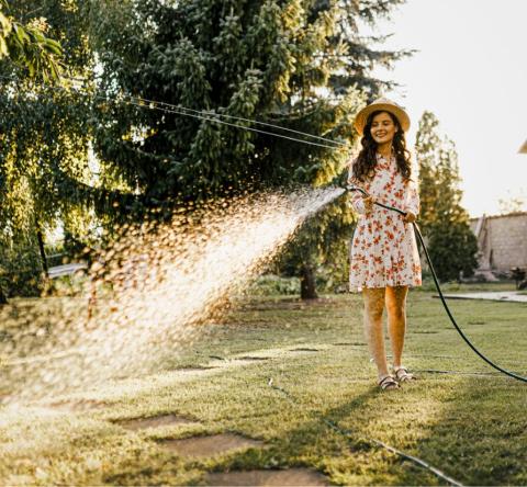 Canicule : faut-il vraiment arroser sa pelouse quand elle jaunit ?