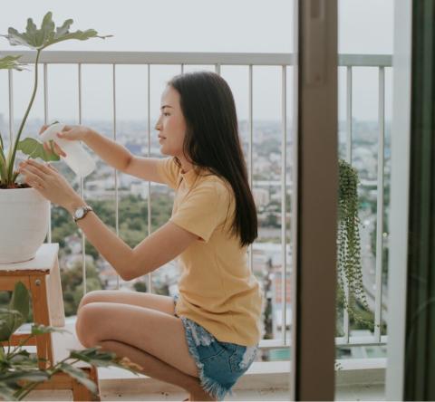 Balcon orienté nord : 7 plantes décoratives qui n'ont pas besoin de soleil.