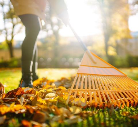 7 astuces simples pour préparer son jardin à l’automne.
