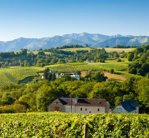 Analyse du marché immobilier à Jurançon en 2026