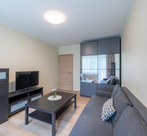 Petit appartement de location aux tons gris, avec un canapé, une table basse, une télévision et une commode. 