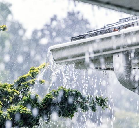 Récupérateur d'eau enterré : bon plan ou fausse bonne idée ?